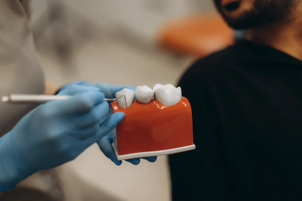 Dentist pointing to a gum disease model
